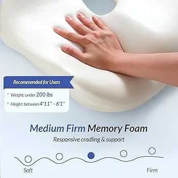 Pioneering Ergonomic Seat Cushion